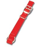 Sporting Goods : Pete Rickard's Hunter's Safety Collar Orange
