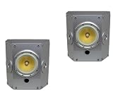 Crystal Acoustics THX SELECT Certified C-Audiovideo Dipole Speakers - Silver