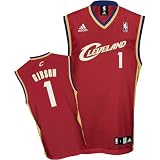 adidas Cleveland Cavaliers Daniel Gibson Youth (sizes 8-20) Replica Road Jersey