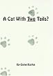A Cat With Two Tails?