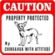 CAUTION: CHIHUAHUA protection dog warn sign