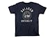 World of Warcraft Dalaran University Men's Short Sleeve Blue Tee Shirt