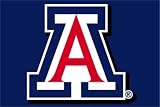 University of Arizona Wildcats Door Mat Rug 20x30