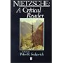 Nietzsche: A Critical Reader (Blackwell Critical Reader)