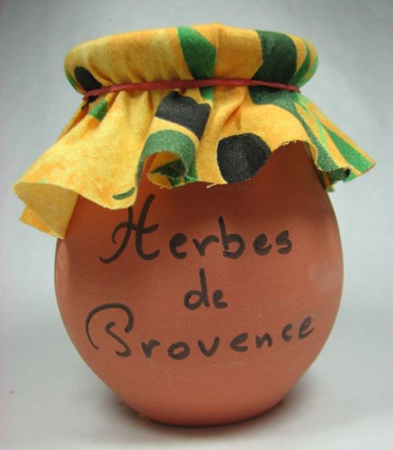 Moulins d'Opio Herbes de Provence Herbs de Provence in Terracotta Pot 2.8 oz. by Duck