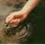 Circles In The Stream (Deluxe Edition) (IMPORT)