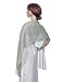 Remedios Light Weight Chiffon Sheer Evening Dress Shawl Scarves