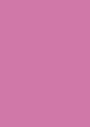 Dimensions Oversized Color Sample - Celia Pink