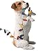 Jack Russell Terrier Sandicast Holiday Ornament