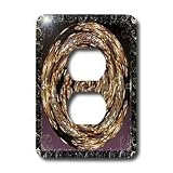 Cindy Thorrington Haggerty Healing Orbs - Energy - Light Switch Covers - 2 plug outlet cover