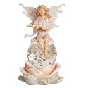 Fairy LED Light