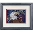 Dimensions Fireworks Eagle Mini Cntd X-Stitch Kit