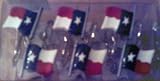 TEXAS FLAG Decorative Shower Curtain Hooks