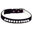 Pet Supply Imports - Black Velveteen Jeweled Break Away Cat Collars Siz 12