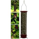 Droll Yankees YCPD90 Dipper Squirrell Proof Bird Feeder by Droll Yankees