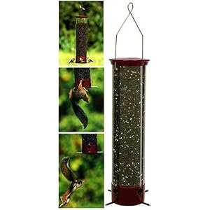 Droll Yankees YCPD90 Dipper Squirrell Proof Bird Feeder by