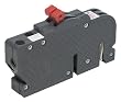 Connecticut Electric Zinsco replacement 2 single pole 20 amp half size breaker