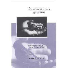 Providence of a Sparrow: Lessons from a Life Gone to the Birds