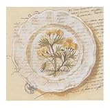 Assiette, Adonis Vernalis, Appliances & Dinnerware Art Poster Print by Pascal Cessou, 13x13