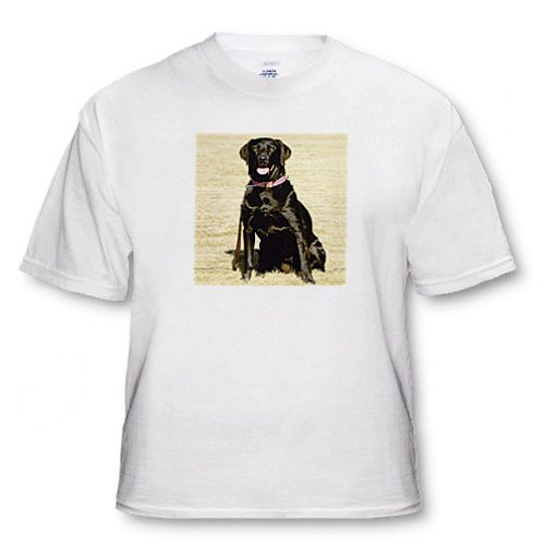 Dogs Labrador Retriever - Labrador Retriever - T-Shirts