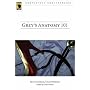 Grey's Anatomy 101: Seattle Grace, Unauthorized