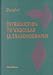 Introduction to Vascular Ultrasonography