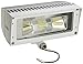 RAB Lighting FFLED18W 18-watt 1624-Lumens 277-volt Aluminum Rectangular Cool LED Floodlight, White