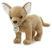   - Wildlife / Domestic Animals : Bebe the Chihuahua Puppy Dog 12