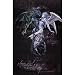 (24x36) Chemical Wedding (Alchemy) Music Poster Print Poster Print, 24x36