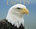 Books : Eagles 2009 Calendar