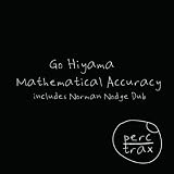 Mathematical Accuracy (Norman Nodge Dub)