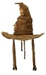 Harry Potter Costume Sorting Hat