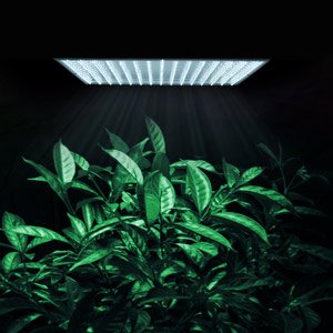 High Efficiency 225 High Power Ultrathin White LED Plant Grass Herb Flower Growing Grow LED Light Lamp Panel