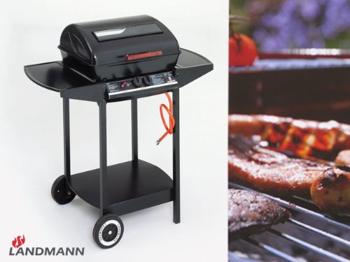 Landmann 12375 Lavastein-Gasgrill Preisvergleich