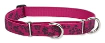 Lupine Large Martingale Style Dog Collar - Plum Blossom 15-22 Inches