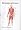 The Bodydoctor: In 6 Weeks Take 5 Inches Off Your Waist, Lose a Stone, Double Your Fitness