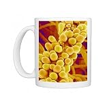 Asian wild flower pistil, SEM Photo Mugs