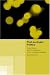 Post-Ecologist Politics: Social Theory and the Abdication of the Ecologist Paradigm (Routledge Innovations in Political Theory)