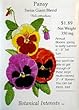 Pansy Swiss Giant Blend Heirloom Seeds 225 Seeds