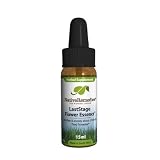 Native Remedies LastStage Flower Essence to Convert Anxiety About Labor & Birth Into Confidence, 15ml