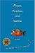 Ninjas, Piranhas, and Galileo