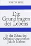Die Grundfragen des Lebens.