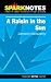 Books : Spark Notes A Raisin in the Sun