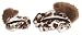 Kitchen & Housewares : Dr. Noy's Material Dog Toy - Chipmunk for Small Dogs