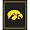 Iowa Hawkeyes