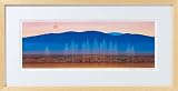 『照沼光治《白樹（はくじゅ）》』風景画アート版画額付の画像