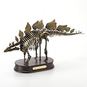 Stegosaurus Dinosaur Skeleton Model Statue, Scale 1/20