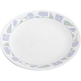 Corelle Livingware 8-1/2-Inch Luncheon Plate, Friendship