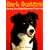 Bark Busters: Solving Your Dogs Behavioral Problems