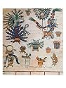 Aztec Codex Borbonicus, "Tonalamatl," Detail Depicting the Goddess Mayahuel Art Giclee Poster Print by Pre-Columbian, 30x40